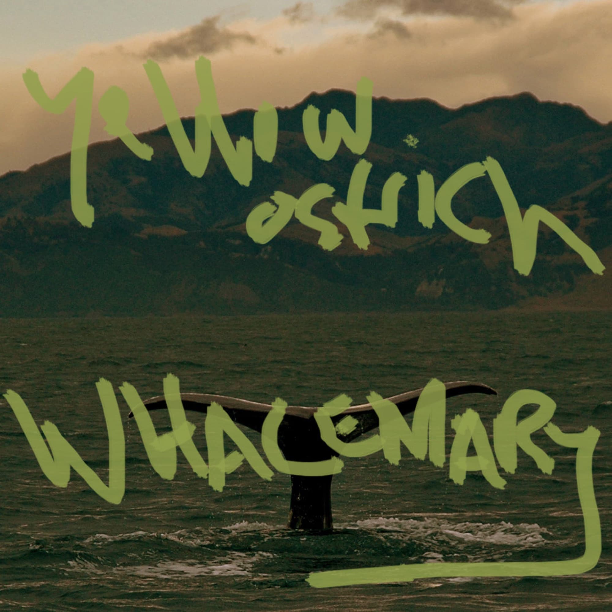 WHALEMARY cover